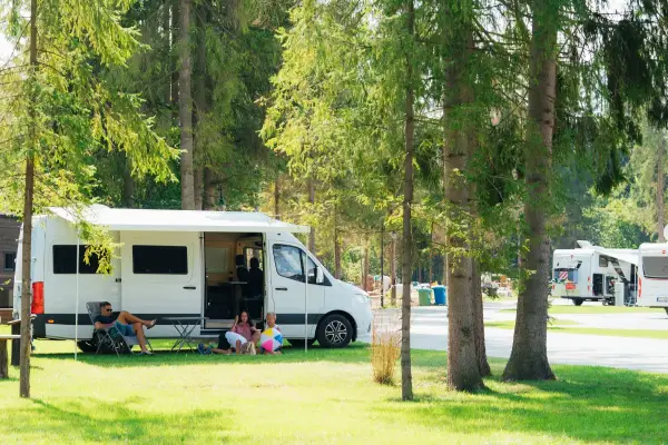 Zacieniona parcela w Camp Gorący Potok